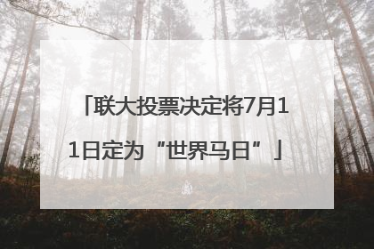 联大投票决定将7月11日定为“世界马日”
